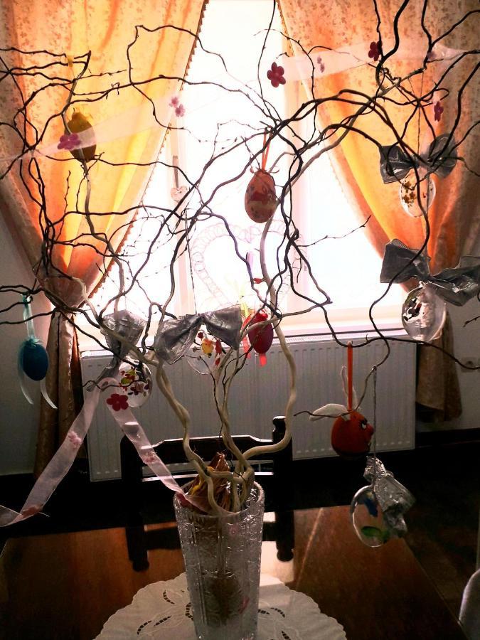 Apartman Sokica ヴィゾバクス エクステリア 写真