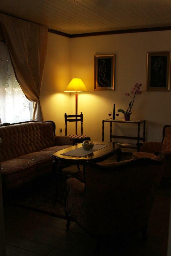 Apartman Sokica ヴィゾバクス エクステリア 写真