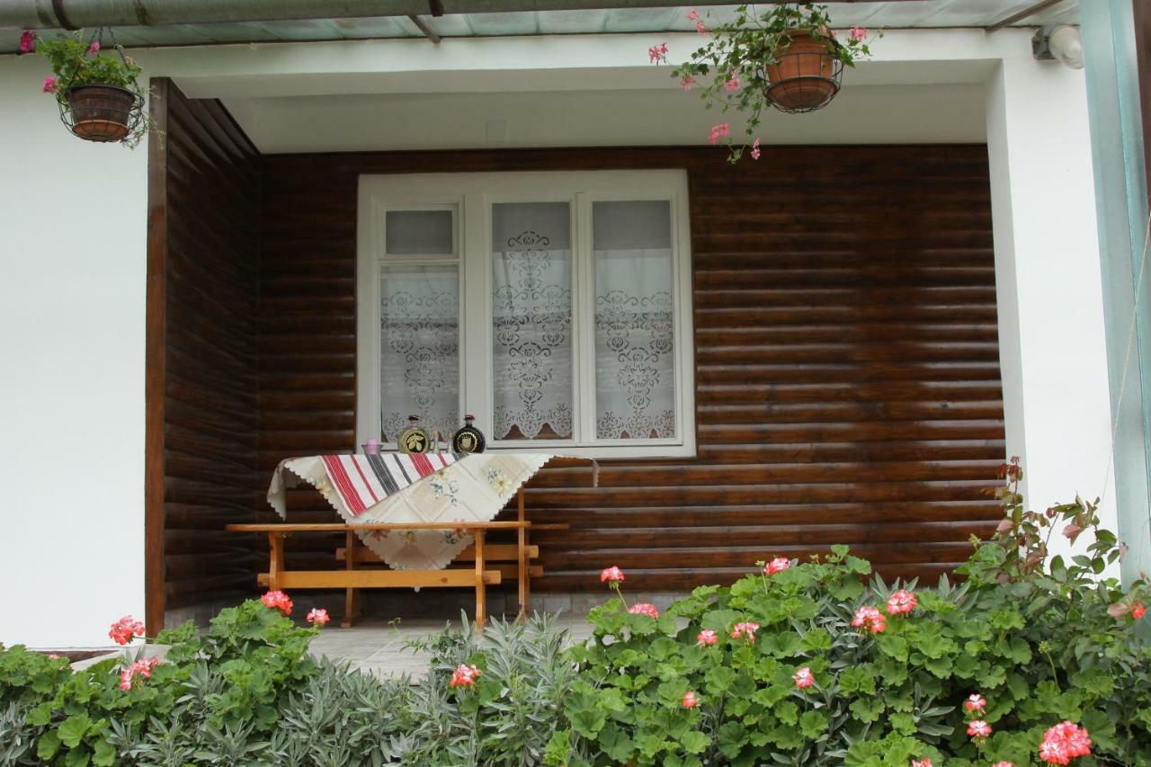 Apartman Sokica ヴィゾバクス エクステリア 写真